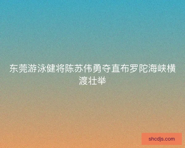 东莞游泳健将陈苏伟勇夺直布罗陀海峡横渡壮举